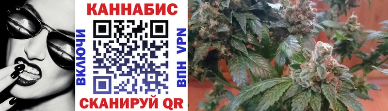 Конопля сатива  где продают наркотики  Красногорск 